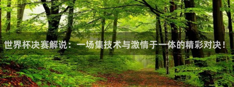 2026 世界杯：世界杯决赛解说：一场集技术与激情于一体的精彩对决！