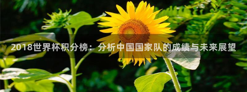 世界杯直播免费观看：2018世界杯积分榜：分析中国国家队的成绩与未来展望