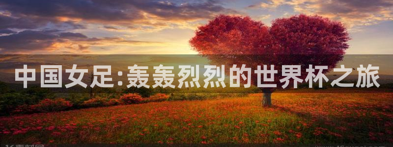 欧洲世界杯预选赛:中国女足:轰轰烈烈的世界杯之旅
