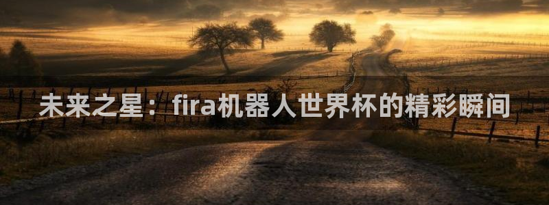 葡萄牙世界杯赛程：未来之星：fira机器人世界杯的精彩瞬间