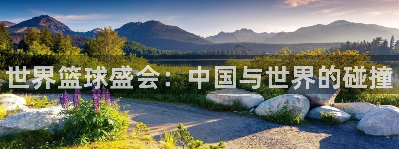 26世界杯：世界篮球盛会：中国与世界的碰撞