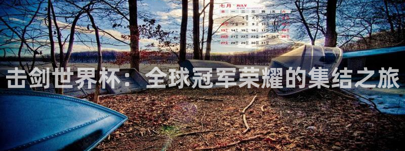 2026世界杯：击剑世界杯：全球冠军荣耀的集结之旅
