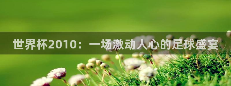 26世界杯：世界杯2010：一场激动人心的足球盛宴