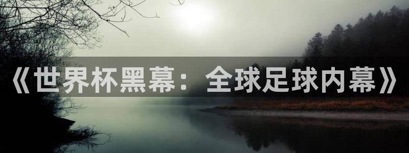 世界杯预选赛欧洲赛区赛程：《世界杯黑幕：全球足球内幕》