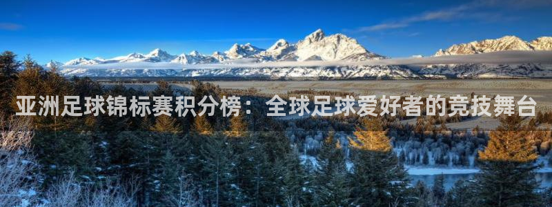 世界杯直播高清：亚洲足球锦标赛积分榜：全球足球爱好者的竞技舞台