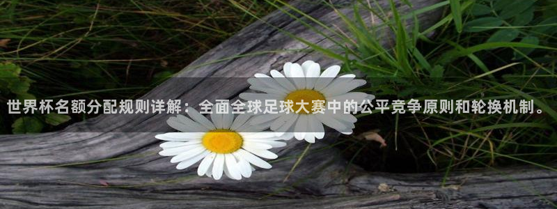 世界杯16强赛程表：世界杯名额分配规则详解：全面全球足球大赛中的公平竞争原则和轮换机制。